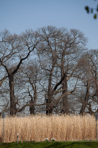 Bereichsreparatur in Lightroom und Photoshop