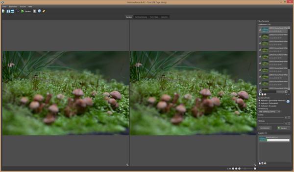 focus stacking software focus stacking software