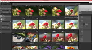 Vorworkflow für Lightroom mit Perfect Browse 9