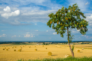 Landschaftsfotografie Teil I Technik