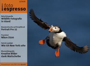 fotopresso-03