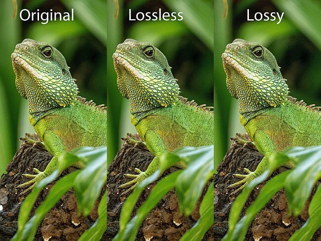 JPEG image size reduction with ShortPixel