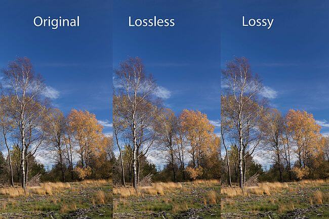 JPEG image size reduction with ShortPixel