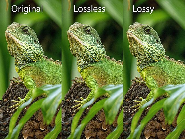 JPEG image size reduction with ShortPixel