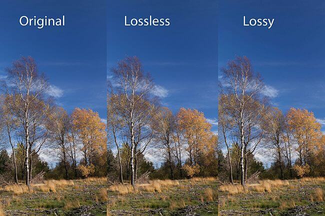 JPEG image size reduction with ShortPixel
