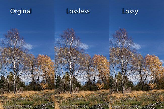 JPEG image size reduction with ShortPixel