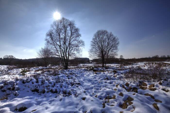 HDR from one RAW II