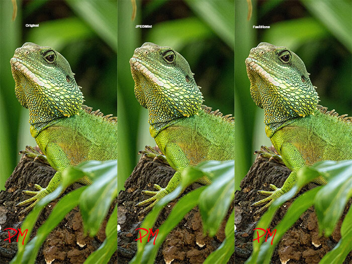 Minimize JPEG files with JPEGMini