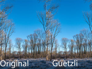Wochenrückblick 16-2017