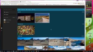 Lightroom per Browser