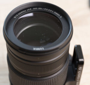 Panasonic 100-300/4.0-5.6 II