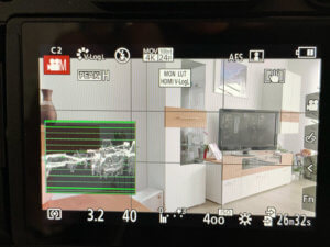 Lumix G9 and V-LOG L