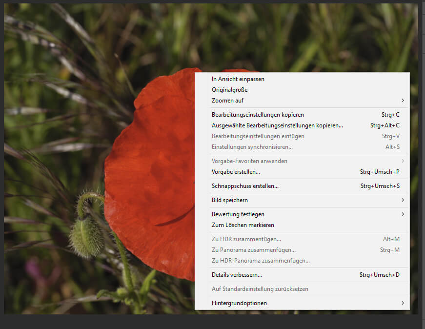 Adobe Releases Lightroom Classic Camera Raw And Photoshop Updates My Blog