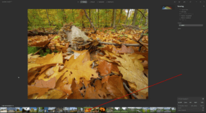 Luminar NEO 1.0.2 with a discount code 
