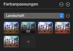 Pixelmator Pro 2.4 veröffentlicht