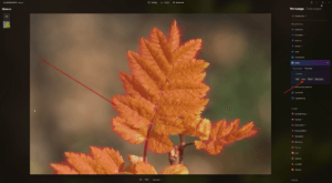 Luminar 1.0.6 released