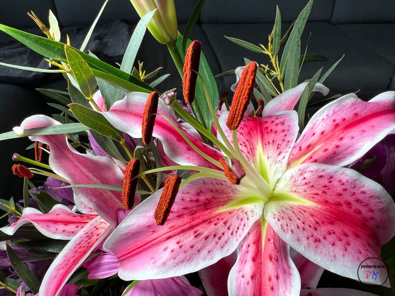 Macro photography with the iPhone