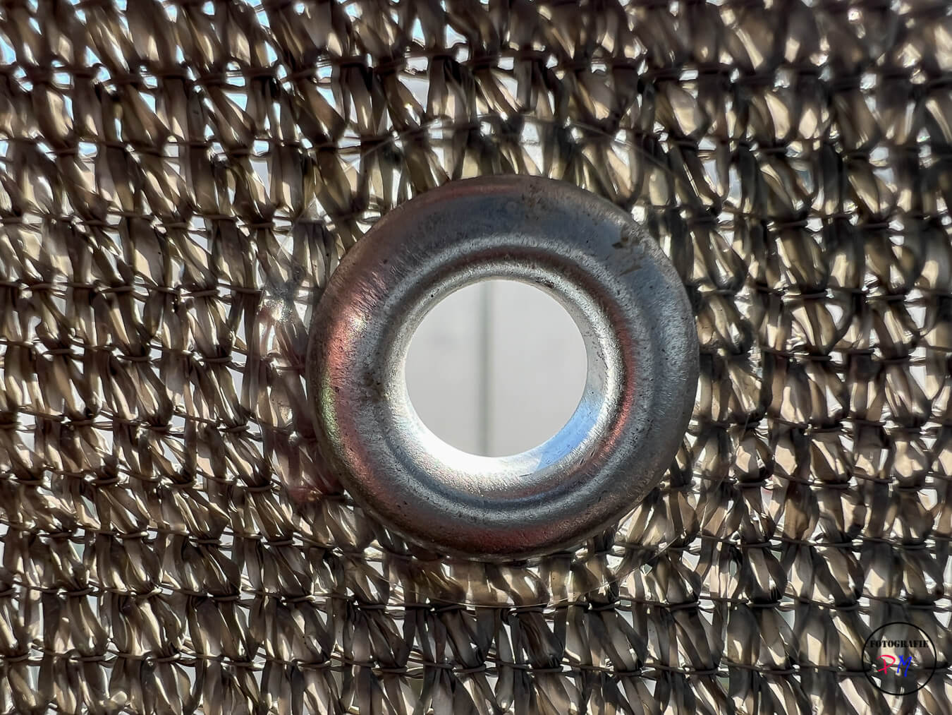 Macro photography with the iPhone