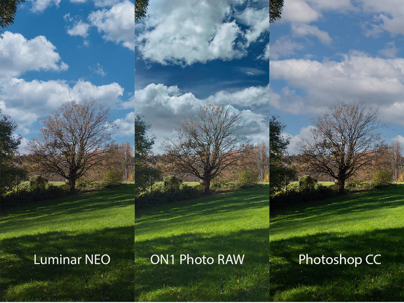 Wie gut ist die KI um den Himmel in Fotos auszutauschen?