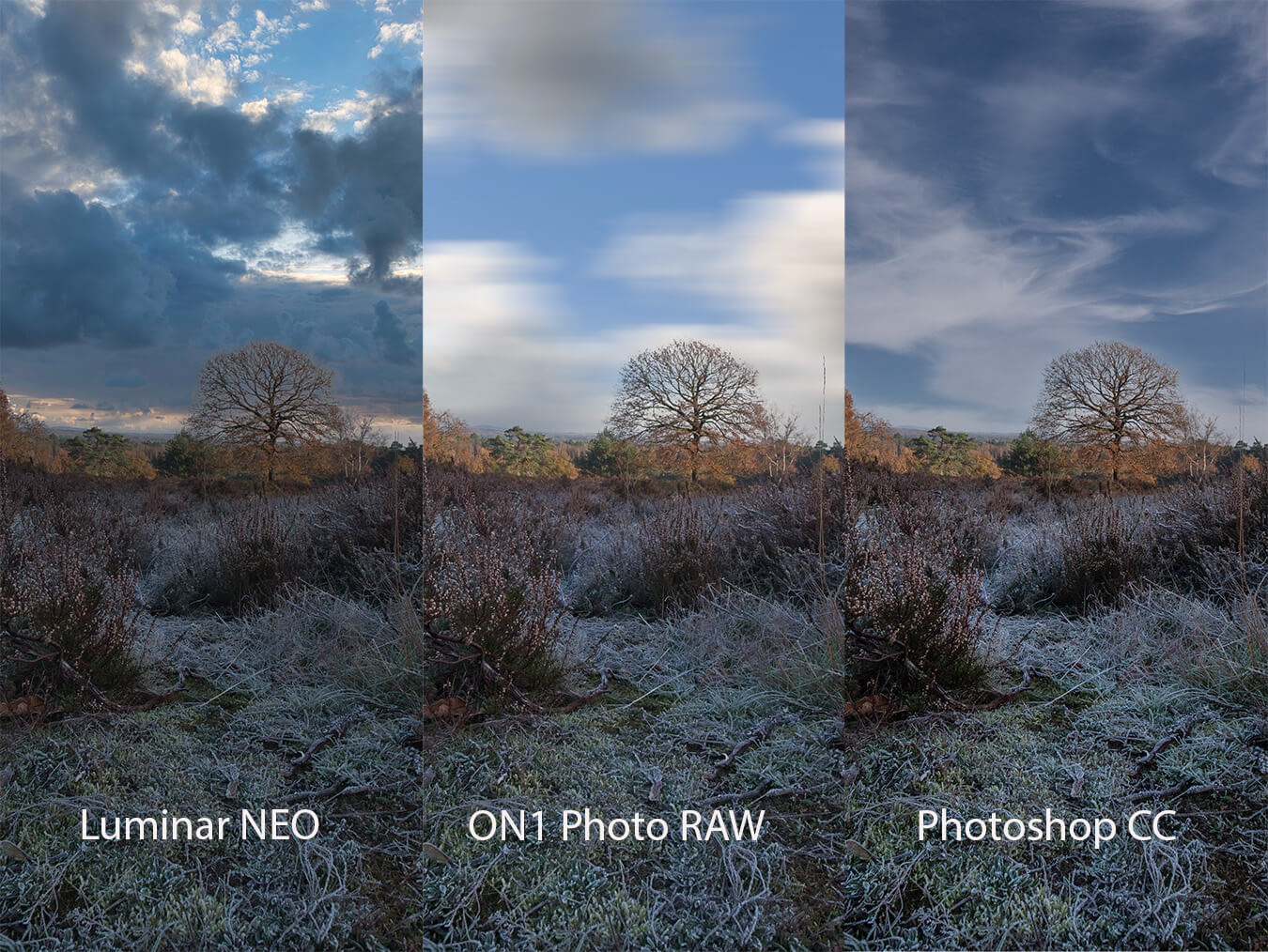 How good is the AI to swap out the sky in photos?