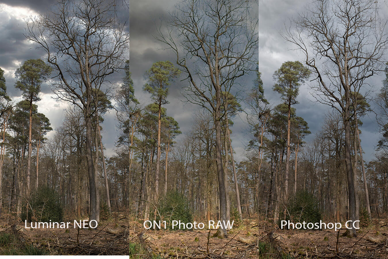 How good is the AI to swap out the sky in photos?