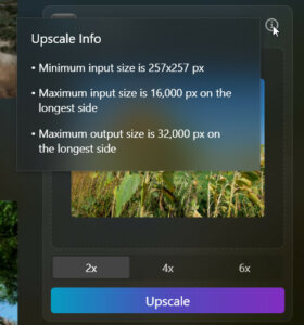 Upscale AI und Remove Background für Luminar NEO