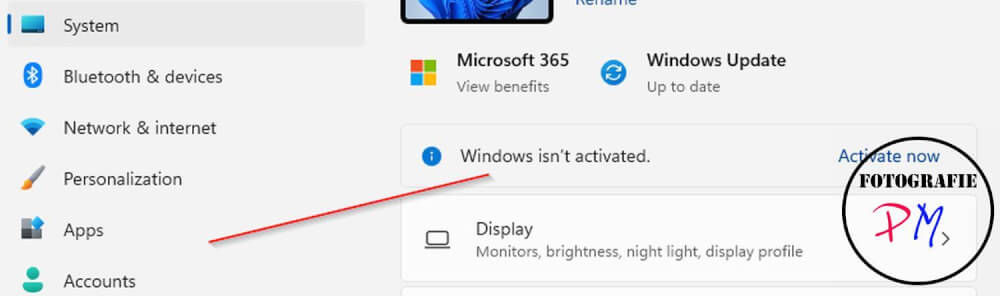 Tiny11 — The Windows 11 OS that only needs 2GB of RAM to run