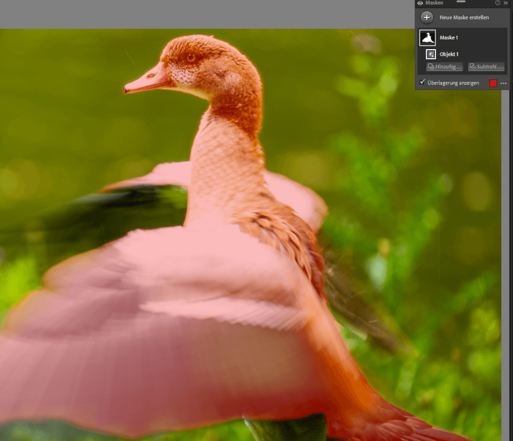 Adobe veröffentlicht Lightroom 12.3 und Camera RAW 15.3