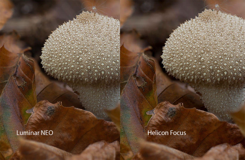 Focusstacking with Luminar NEO extension or Helicon Focus