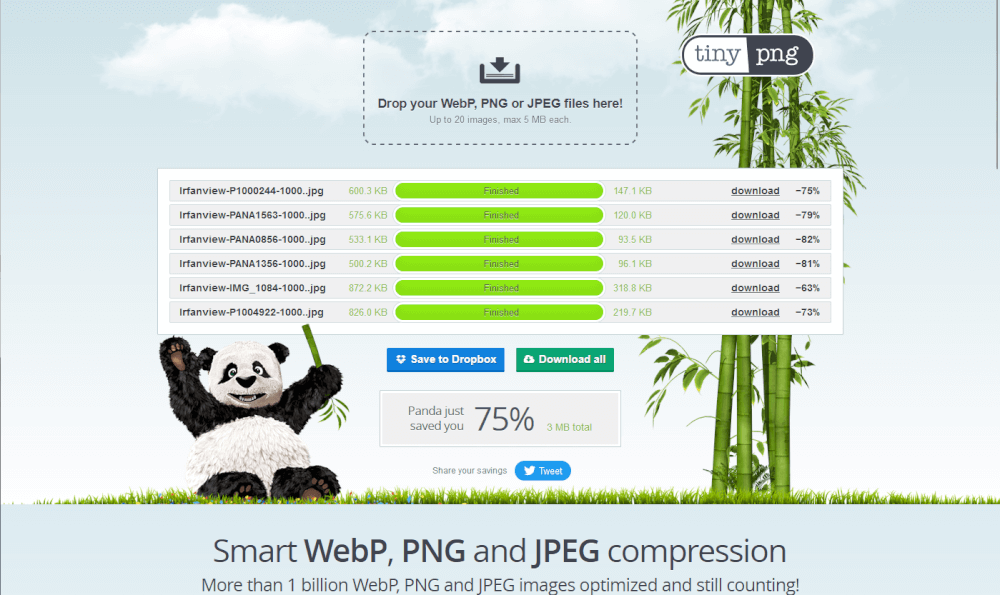 Reduce image size for web and social media