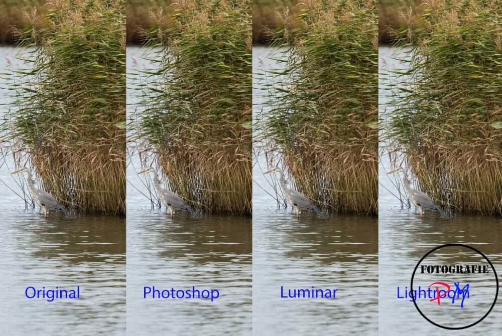 Photoshop Superzoom Filter im Vergleich zu Luminar und Lightroom Classic