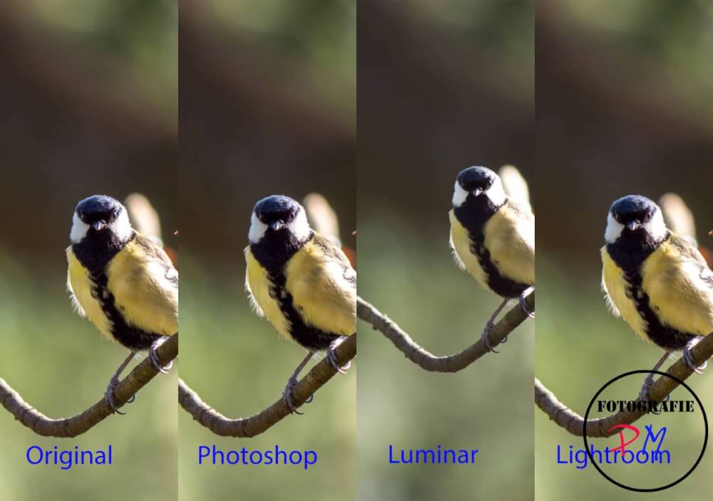 Photoshop Superzoom Filter im Vergleich zu Luminar und Lightroom Classic