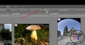 Adobe veröffentlicht Lightroom Classic 13.3