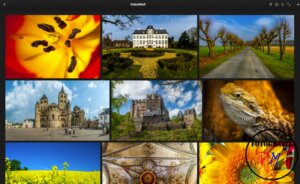 Lycheee eine webbasierte Photomanagement Software