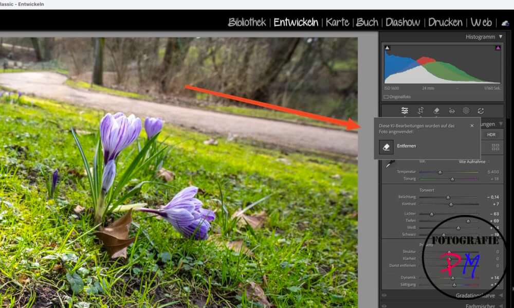 June 2025 Updates for Adobe für Lightroom Classic and other programs