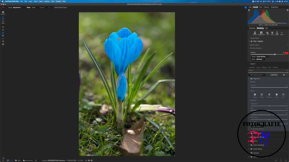 Das funktioniert soweit recht gut. Es kann bei der ersten Benutzung sein, dass noch etwas nach installiert werden muss, aber das Kenne wir auch z.B. von Photoshop, wo Filter ggfs. nachinstalliert werden müssen.