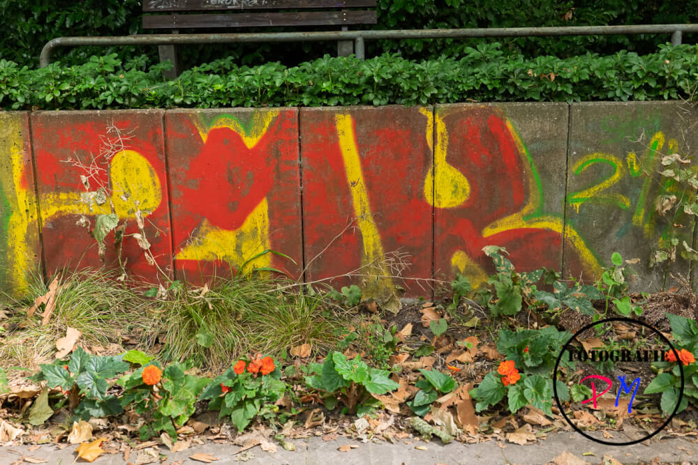 Wochenrückblick 49-2025