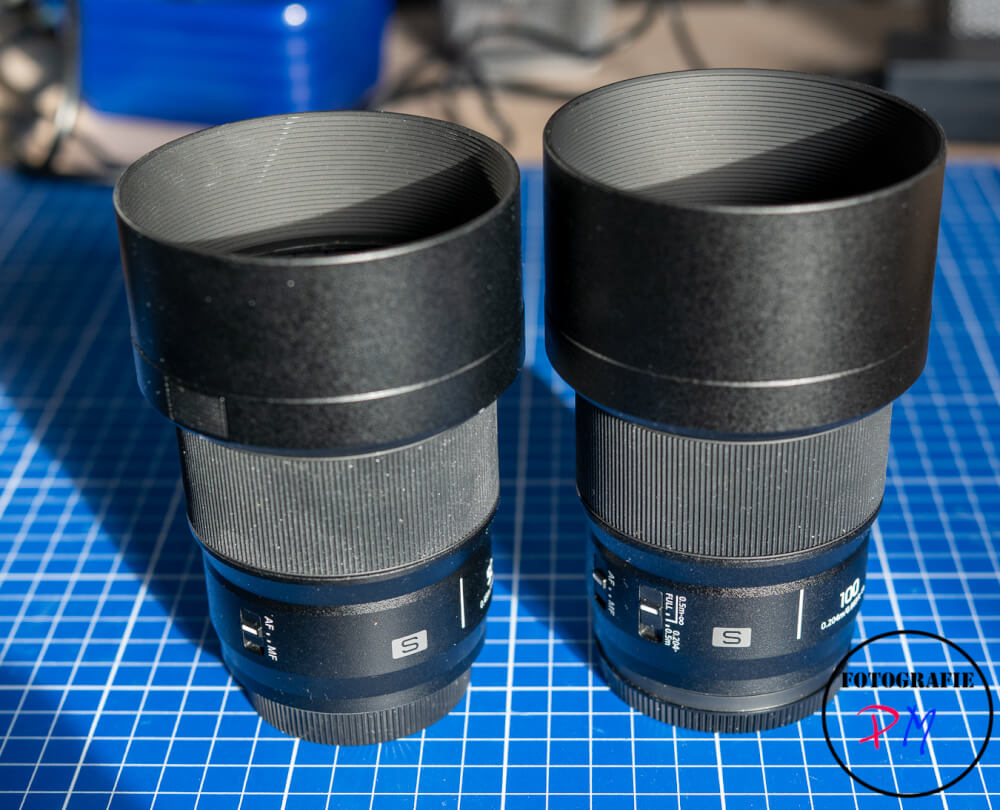 Wochenrückblick 50-2025