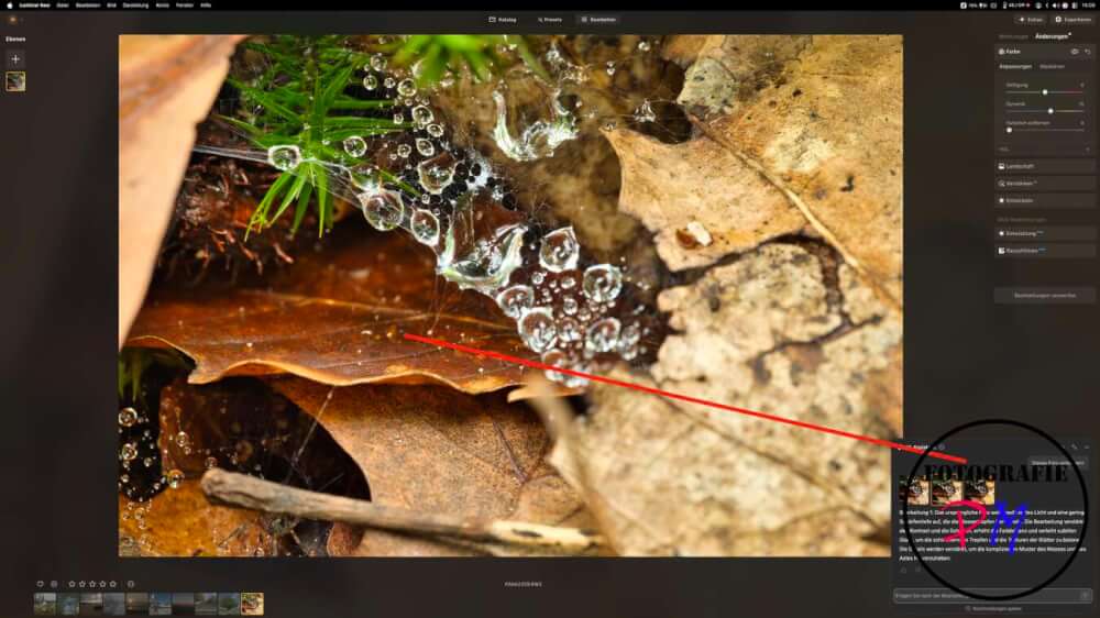 Luminar NEO Bildbearbeitung mit AI-Unterstützung