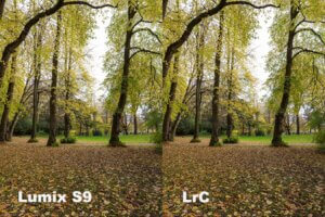 Wochenrückblick 13-2026