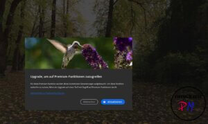 Last week review 10-2026