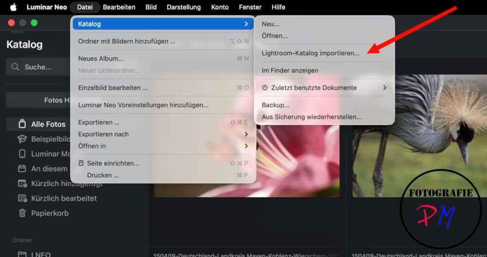 Luminar Neo 1.27.1: Lightroom-Kataloge jetzt importieren – Ein erster Praxistest