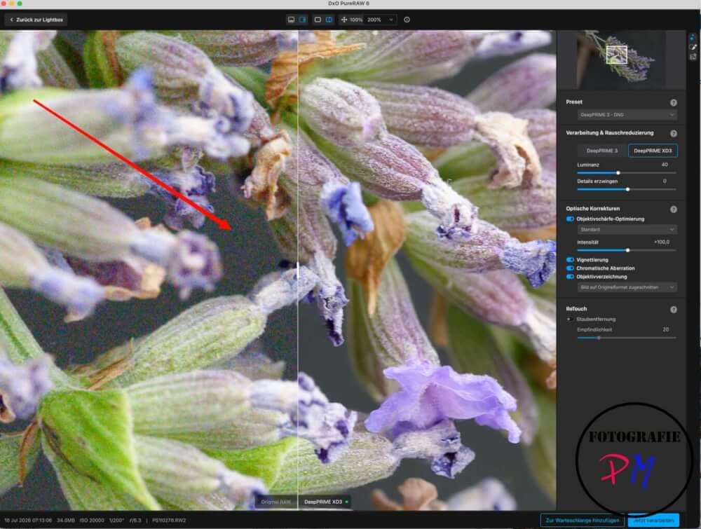 DXO PureRAW 6 – nicht nur zum Entrauschen interessant