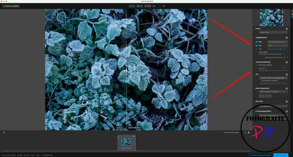 DXO PureRAW 6 – nicht nur zum Entrauschen interessant