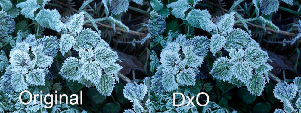 DXO PureRAW 6 – nicht nur zum Entrauschen interessant