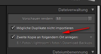 Sicherung von Lightroom